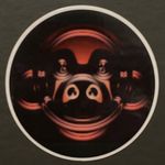 ROY VAN DER STOK - @roy_ricci_van_der_stok - Instagram