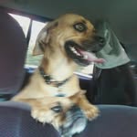 Roy L. Richmond - @richmond5435 - Instagram