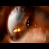 Rife Roy - @rife.roy - TikTok