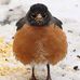 Roy Ritter - Facebook