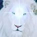 Roy Roland - Facebook
