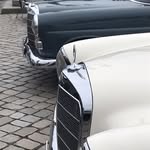 Roy Ziehm - @Roller__Roy - Instagram