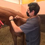 Roy Rosales - @royrouss - Instagram