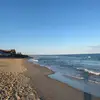 Roy.Rossi - @roy.rossi - TikTok