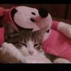 Roy Ruffini - @royruffini - TikTok