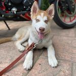 @ruppert_roy - Instagram