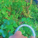 Sorab Roy Sandan Kumar - Facebook