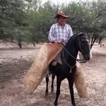 Roy Sandoval - @roy.sandoval.9847 - Instagram