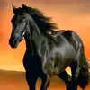 Roy Sandoval - @roy.sandoval05 - TikTok