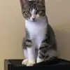 meroysaxton6 - @meroysaxton6 - TikTok