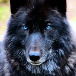 Roy Schmid - @roy.schmid.397 - Instagram