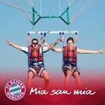 Roy Schmidt - @royschmidt7462 - Instagram