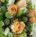 See Roy - Facebook