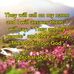 Roy Sharpless - Facebook