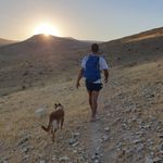 Roy Silverman - @roy_silverman - Instagram