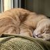 Roy Silverman - Facebook