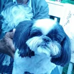 Roy Sisco - Facebook