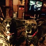Roy Skinner - @flashpreacher - Instagram