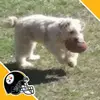 Roy Skinner - @roy.skinner - TikTok