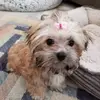 Roy Skinner - @roy.skinner7 - TikTok