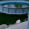 Roy Snell - @roy.snell - TikTok
