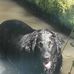 Roy Spicer - Facebook