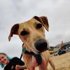 troy_squires_1 - @troy_squires_1 - TikTok