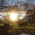 Roy Stafford - @stafford.roy - Instagram