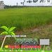 Roy Stappu - Facebook