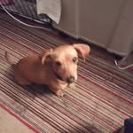Roy Starnes - @roy_starnes - Instagram
