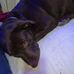 Roy Starnes - Facebook
