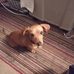 Roy Starnes - Facebook