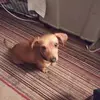 Roy Starnes - @roy.starnes2 - TikTok
