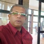 Roy Roy Stein - @solan5453 - Instagram