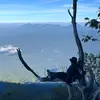 roy_story - @roy_storyy - TikTok