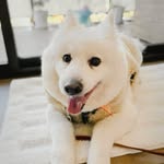 RoyStory - @roystory620 - Instagram