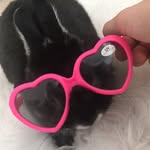 roy rango Suggs - @royrango - Instagram