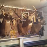 Roy Summers - @roy.summers.940 - Instagram