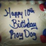 roysummers - @roydog_216 - Instagram