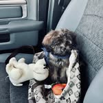 Roy Swan - @rjthegod71 - Instagram
