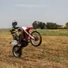 Roy Tamir - @roytamir6 - TikTok