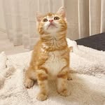 𝘙𝘰𝘺 🐾 - @roytan_1031 - Instagram