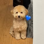 ロイ - @roytan__ - Instagram