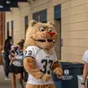 Roy the Lion🦁 - @roy.the.lion - TikTok