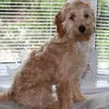 Roy Thornhill - @roy.thornhill - TikTok