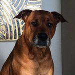 Roy True - @kennet_2369__newton - Instagram