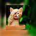 Roy Truman - Facebook