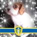 Roy Tuck - Facebook
