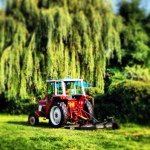 Roy Upton - @dupton2009 - Instagram