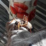 Roy Upton - @honeybear.2399 - Instagram